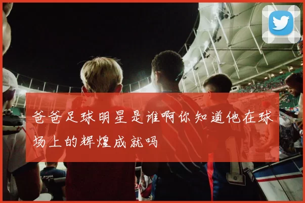 爸爸足球明星是谁啊你知道他在球场上的辉煌成就吗