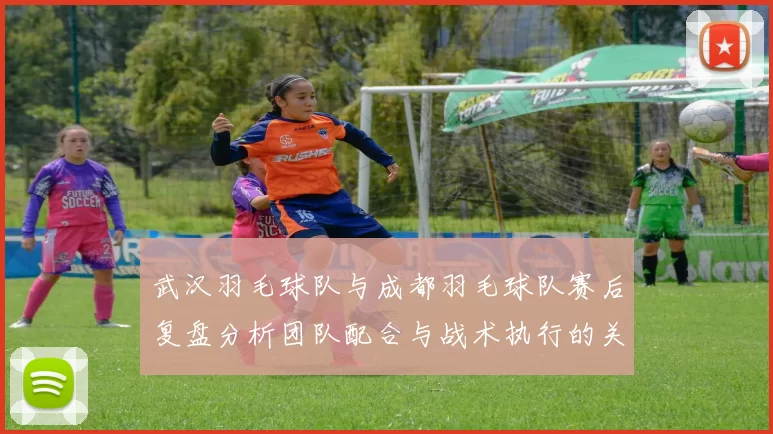 武汉羽毛球队与成都羽毛球队赛后复盘分析团队配合与战术执行的关键因素