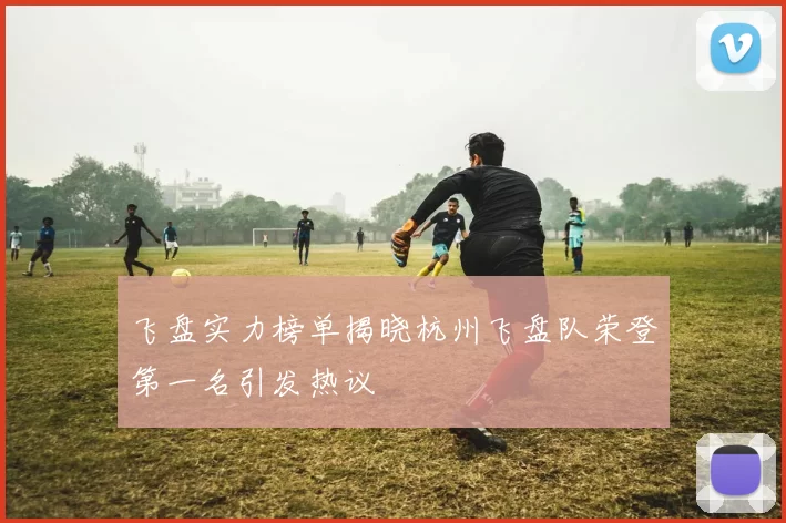 飞盘实力榜单揭晓杭州飞盘队荣登第一名引发热议