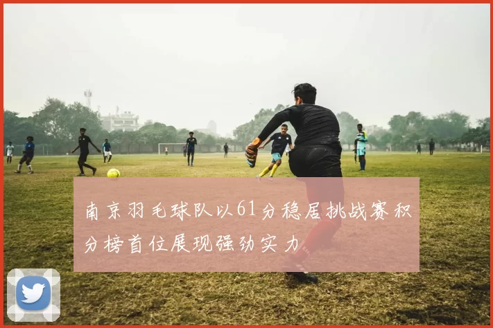 南京羽毛球队以61分稳居挑战赛积分榜首位展现强劲实力