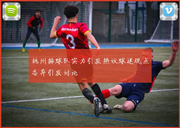 杭州排球队实力引发热议球迷观点各异引发讨论