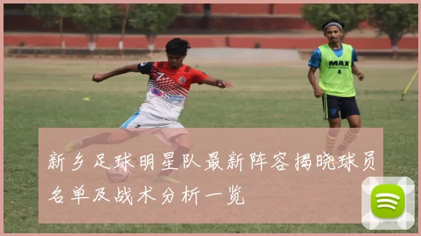 新乡足球明星队最新阵容揭晓球员名单及战术分析一览