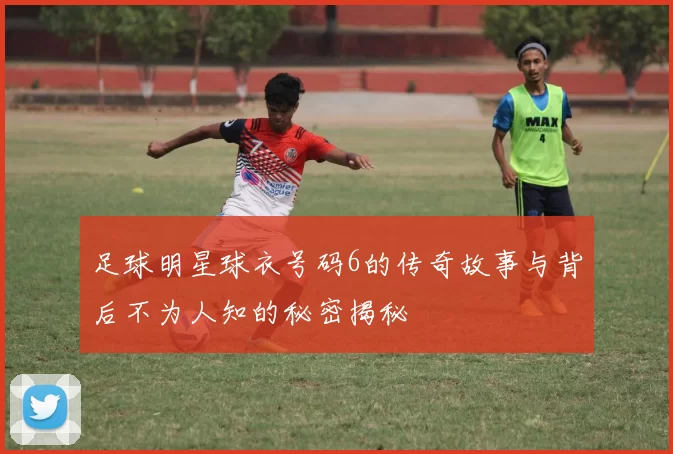 足球明星球衣号码6的传奇故事与背后不为人知的秘密揭秘