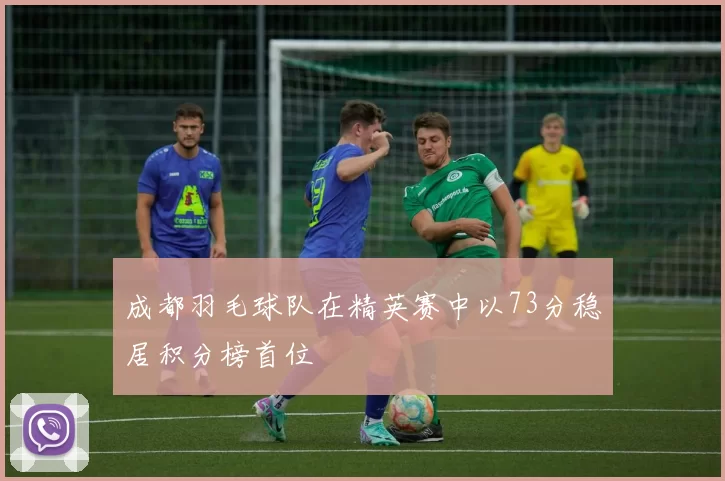 成都羽毛球队在精英赛中以73分稳居积分榜首位