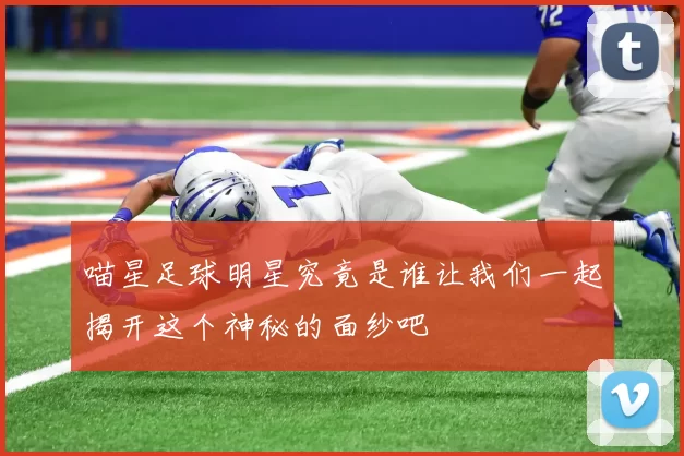 喵星足球明星究竟是谁让我们一起揭开这个神秘的面纱吧