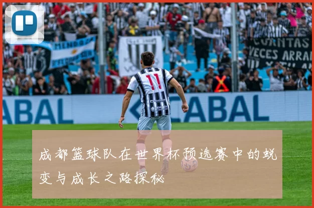 成都篮球队在世界杯预选赛中的蜕变与成长之路探秘